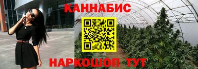 шишки Ставрополь