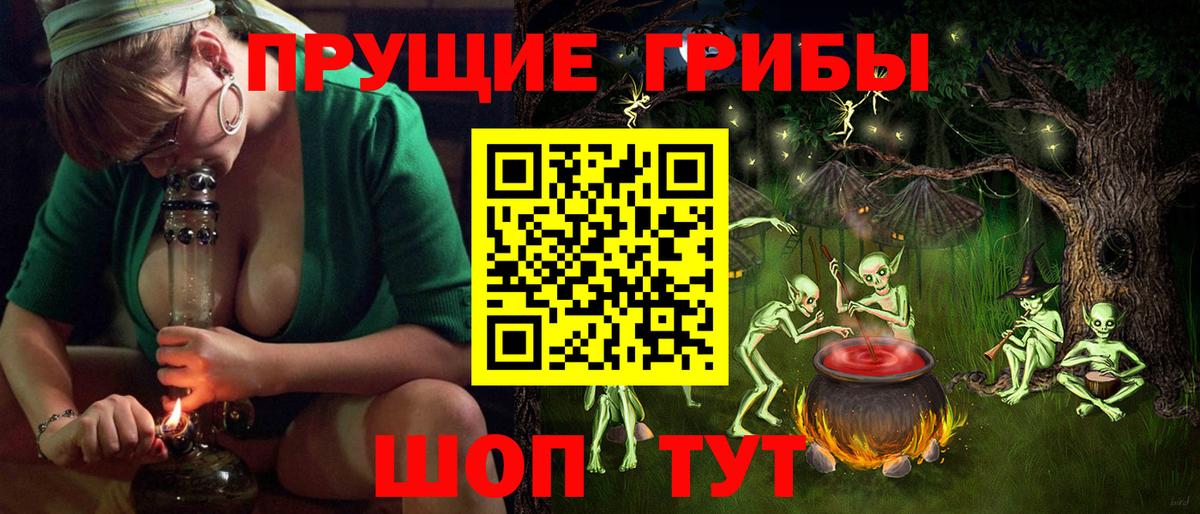 Псилоцибиновые грибы прущие грибы  Псилоцибиновые грибы прущие грибы  Вход с VPN  Балашиха 