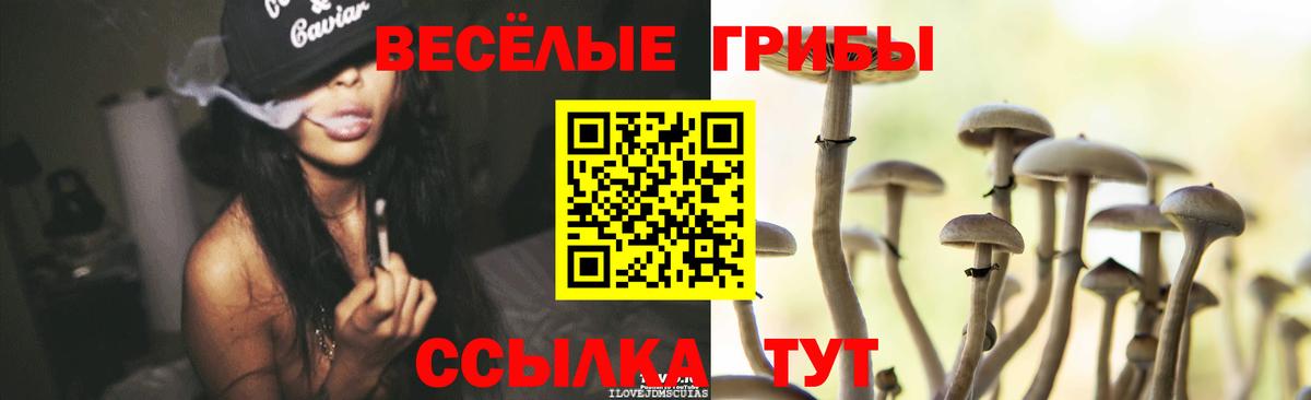 Псилоцибиновые грибы прущие грибы Балашиха